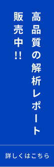 高品質の解析レポート販売中!!