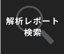 解析レポート検索